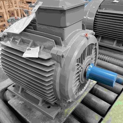0.25kw To 350kw Three Phase Induction AC Electrical Low Voltage Motor
